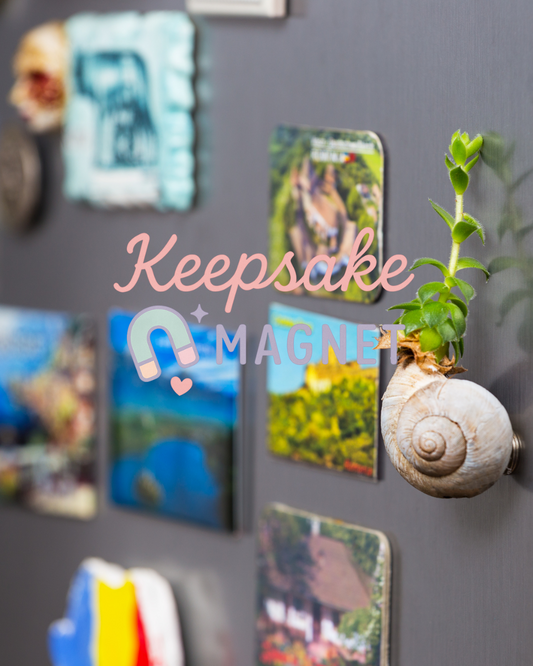 Custom Photo Magnets